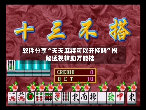 软件分享“天天麻将可以开挂吗”揭秘透视辅助万能挂-第1张图片