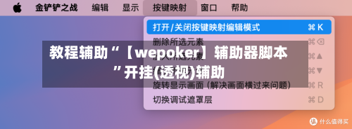 教程辅助“【wepoker】辅助器脚本”开挂(透视)辅助-第1张图片