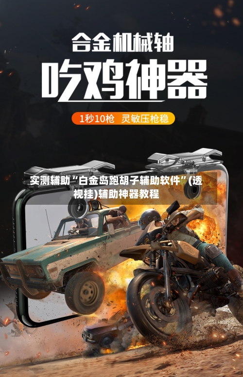实测辅助“白金岛跑胡子辅助软件	”(透视挂)辅助神器教程-第1张图片