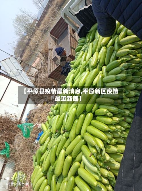 【平原县疫情最新消息,平原新区疫情最近新闻】-第2张图片