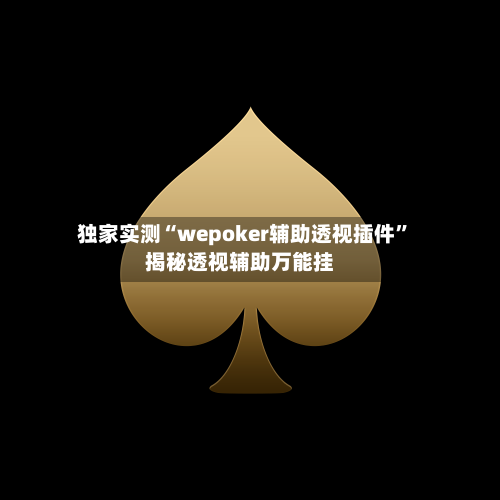 独家实测“wepoker辅助透视插件”揭秘透视辅助万能挂-第2张图片