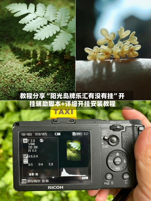教程分享“阳光岛牌乐汇有没有挂”开挂辅助脚本+详细开挂安装教程-第1张图片