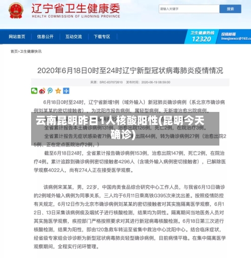 云南昆明昨日1人核酸阳性(昆明今天确诊)-第1张图片