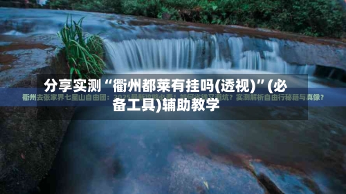 分享实测“衢州都莱有挂吗(透视)”(必备工具)辅助教学-第1张图片