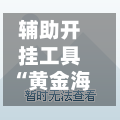 辅助开挂工具“黄金海岸麻将开挂技巧	”开挂辅助脚本+详细开挂-第2张图片
