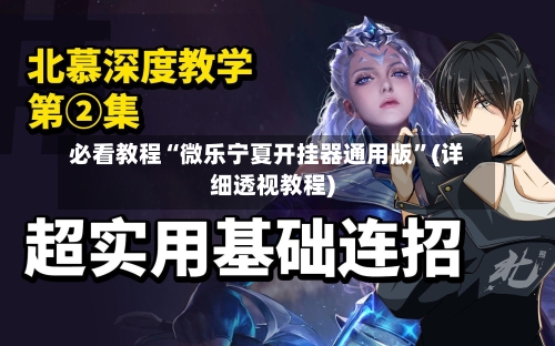 必看教程“微乐宁夏开挂器通用版”(详细透视教程)-第1张图片