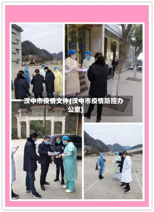 汉中市疫情文件(汉中市疫情防控办公室)-第2张图片