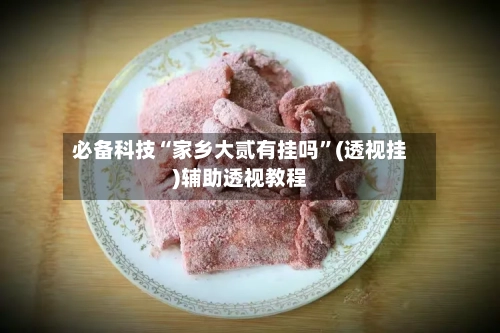 必备科技“家乡大贰有挂吗	”(透视挂)辅助透视教程-第2张图片