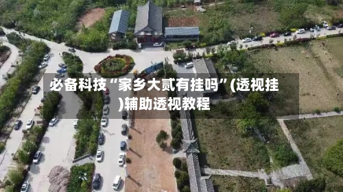 必备科技“家乡大贰有挂吗”(透视挂)辅助透视教程-第3张图片