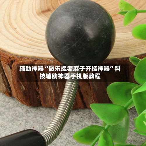 辅助神器“微乐捉老麻子开挂神器”科技辅助神器手机版教程-第3张图片