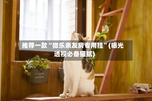 推荐一款“微乐亲友房专用挂	”(曝光透视必备猫腻)-第2张图片