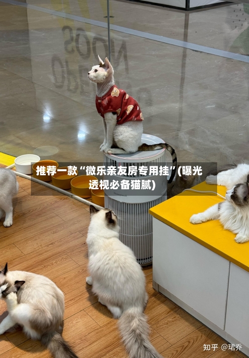 推荐一款“微乐亲友房专用挂”(曝光透视必备猫腻)-第1张图片