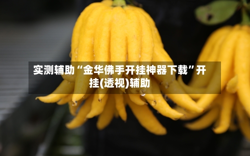 实测辅助“金华佛手开挂神器下载	”开挂(透视)辅助-第1张图片