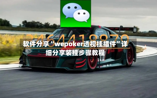 软件分享“wepoker透视挂插件	”详细分享装挂步骤教程-第2张图片