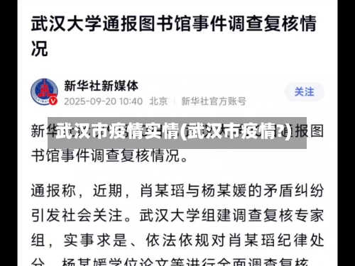 武汉市疫情实情(武汉市疫情?)-第1张图片