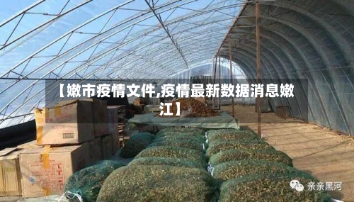 【嫩市疫情文件,疫情最新数据消息嫩江】-第1张图片