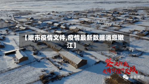 【嫩市疫情文件,疫情最新数据消息嫩江】-第3张图片