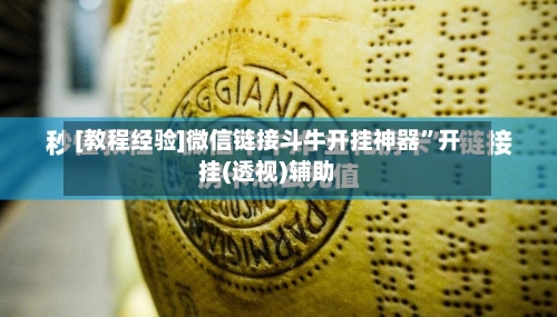 [教程经验]微信链接斗牛开挂神器	”开挂(透视)辅助-第2张图片