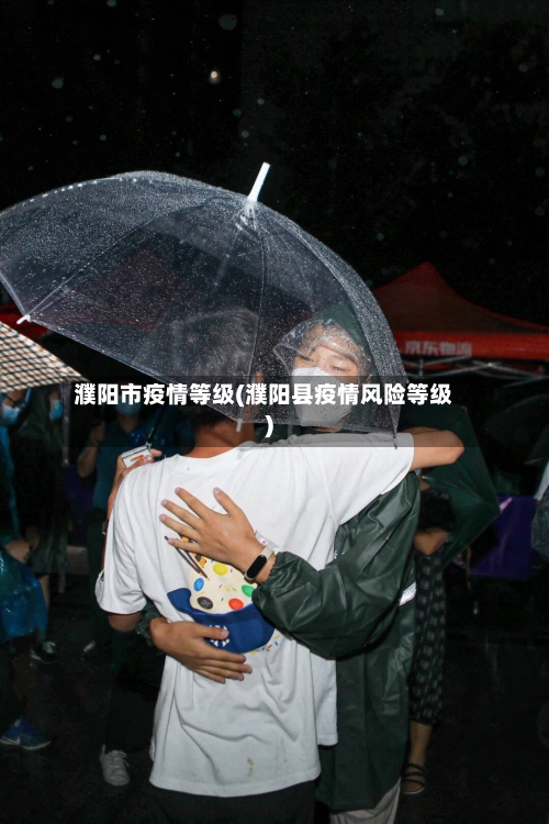 濮阳市疫情等级(濮阳县疫情风险等级)-第3张图片