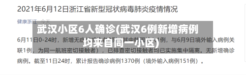 武汉小区6人确诊(武汉6例新增病例均来自同一小区)-第1张图片
