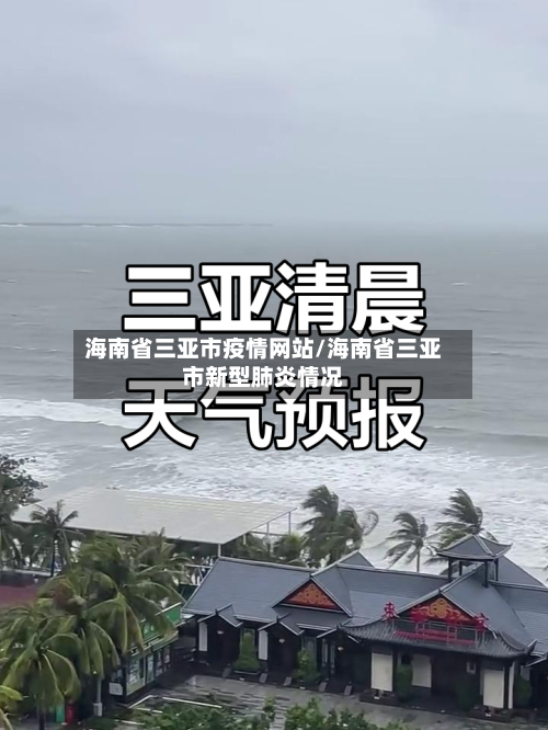 海南省三亚市疫情网站/海南省三亚市新型肺炎情况-第2张图片