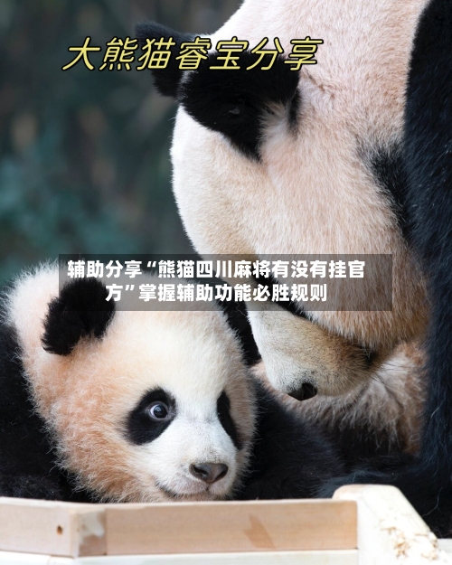 辅助分享“熊猫四川麻将有没有挂官方	”掌握辅助功能必胜规则-第3张图片