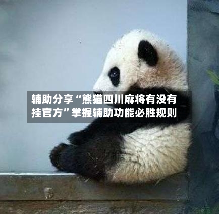 辅助分享“熊猫四川麻将有没有挂官方”掌握辅助功能必胜规则-第1张图片