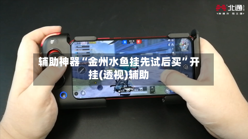 辅助神器“金州水鱼挂先试后买”开挂(透视)辅助-第1张图片