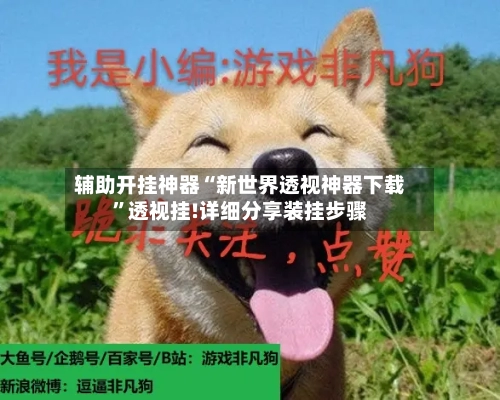 辅助开挂神器“新世界透视神器下载”透视挂!详细分享装挂步骤-第1张图片