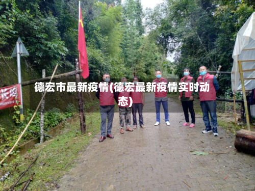 德宏市最新疫情(德宏最新疫情实时动态)-第2张图片