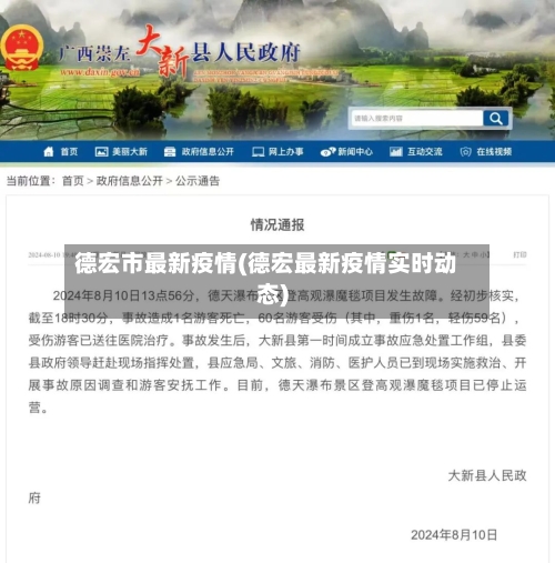 德宏市最新疫情(德宏最新疫情实时动态)-第3张图片