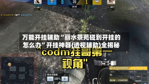 万能开挂辅助“丽水茶苑碰到开挂的怎么办	”开挂神器{透视辅助}全揭秘-第1张图片