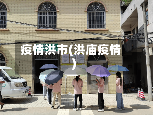 疫情洪市(洪庙疫情)-第2张图片
