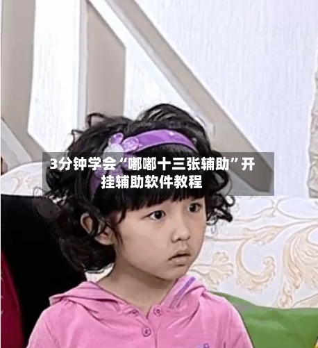 3分钟学会“嘟嘟十三张辅助”开挂辅助软件教程-第3张图片