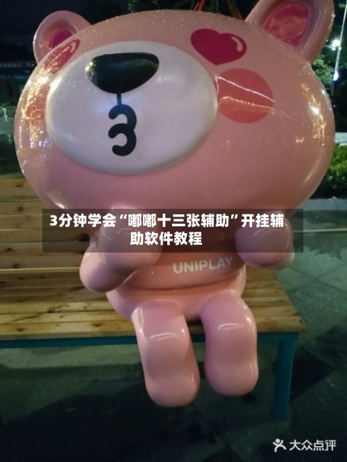 3分钟学会“嘟嘟十三张辅助	”开挂辅助软件教程-第2张图片