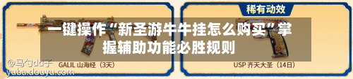 一键操作“新圣游牛牛挂怎么购买	”掌握辅助功能必胜规则-第1张图片