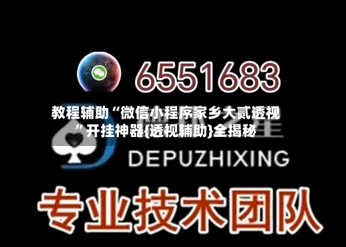 教程辅助“微信小程序家乡大贰透视”开挂神器{透视辅助}全揭秘-第1张图片