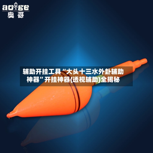 辅助开挂工具“大头十三水外卦辅助神器”开挂神器{透视辅助}全揭秘-第2张图片