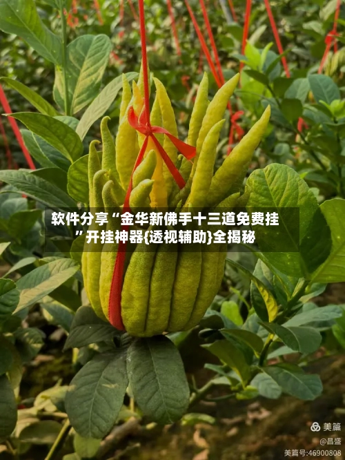 软件分享“金华新佛手十三道免费挂”开挂神器{透视辅助}全揭秘-第1张图片