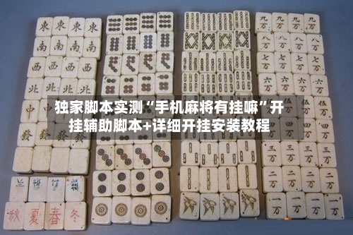 独家脚本实测“手机麻将有挂嘛”开挂辅助脚本+详细开挂安装教程-第3张图片