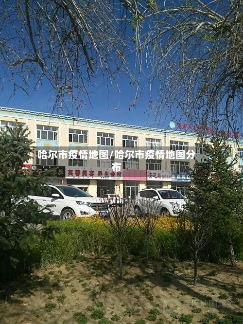 哈尔市疫情地图/哈尔市疫情地图分布-第1张图片