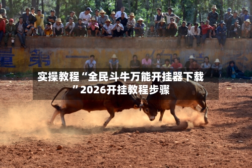实操教程“全民斗牛万能开挂器下载”2026开挂教程步骤-第3张图片