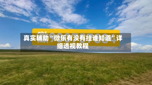 真实辅助“微乐有没有挂谁知道	”详细透视教程-第2张图片