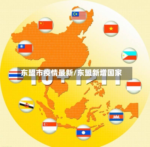 东盟市疫情最新/东盟新增国家-第2张图片