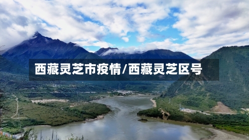 西藏灵芝市疫情/西藏灵芝区号-第1张图片
