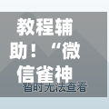 教程辅助！“微信雀神麻将外卦神器下载安装”详细分享装挂步骤教程-第2张图片