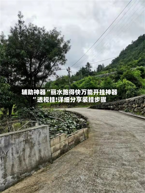 辅助神器“丽水跑得快万能开挂神器”透视挂!详细分享装挂步骤-第1张图片