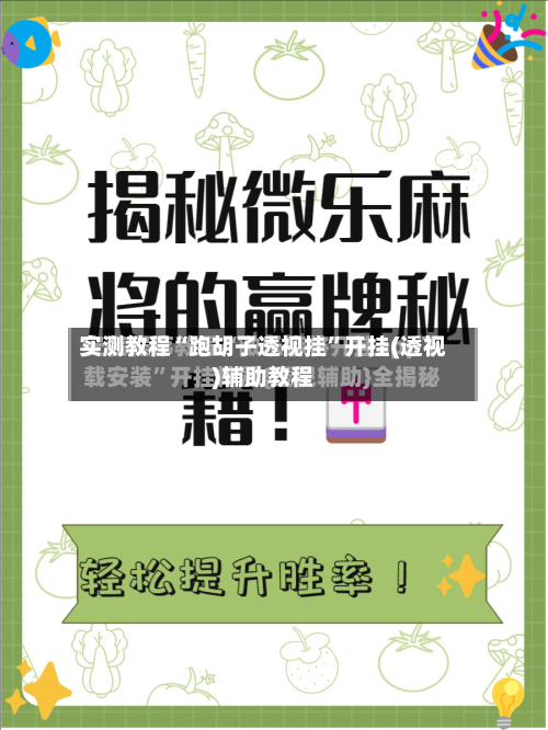 实测教程“跑胡子透视挂”开挂(透视)辅助教程-第2张图片