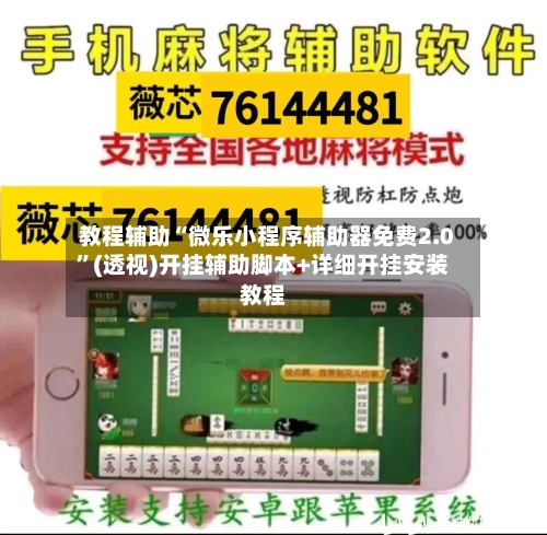 教程辅助“微乐小程序辅助器免费2.0	”(透视)开挂辅助脚本+详细开挂安装教程-第1张图片