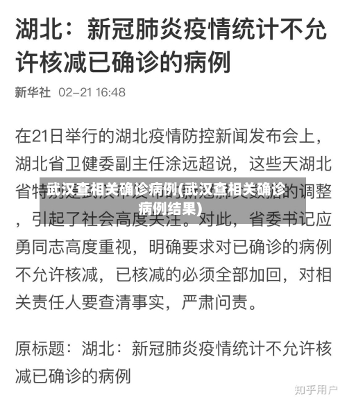 武汉查相关确诊病例(武汉查相关确诊病例结果)-第1张图片